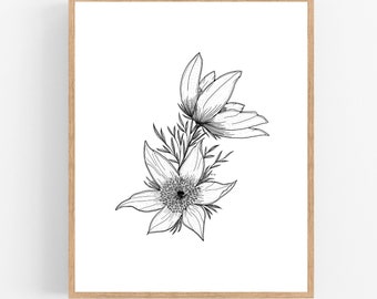 Pasque Flower Illustration Print / Printable / Art / Digital Download / Botanical Print / Pasque Flower Drawing / South Dakota State Flower