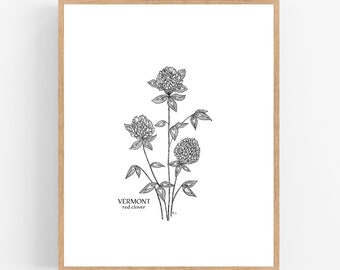 Vermont Red Clover Black Ink Illustration Digital Download Art Print / Vermont State Flower Printable