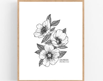 Georgia Cherokee Rose Ink Sketch Print / Printable / Art / Digital Download / Pen Sketch / State Flower / Georgia / Cherokee Rose / Flower