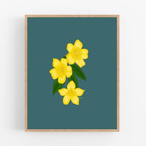 Yellow Jessamine Flower Illustration Print / Printable / Art / Digital Download / Botanical Print / South Carolina State Flower / Yellow