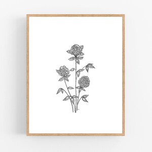 Rotklee Illustration Print / druckbar / Kunst / Digital Download / Botanischer Druck / Rotklee Zeichnung / Vermont State Flower / Black Ink
