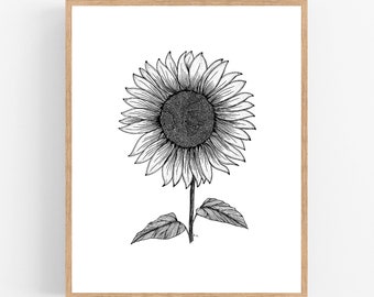 Sunflower Ink Sketch Print / Kansas State Flower Printable / Art / Digital Download / Illustration / Botanical Print / Sunflower