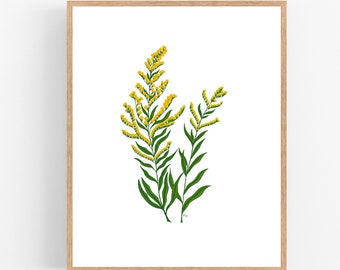 Goldenrod Illustration Print / Printable / Art / Digital Download / Botanical Print / Yellow Goldenrod / Kentucky State Flower / Nebraska