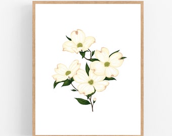 Dogwood Print / Druckbar / Kunst / Digitaler Download / Illustration / Botanischer Druck / Dogwood Flower / Virginia / North Carolina