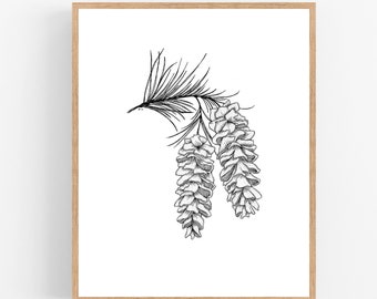 White Pine Cone and Tassel Black Ink Illustration Digital Download ArtPrint / Maine State Flower Printable
