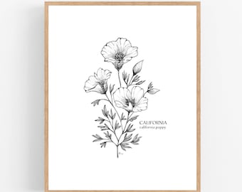 California Poppy Ink Sketch Print / Printable / Art / Digital Download / Illustration / State Flower / Poppy / Poppies / California / Line