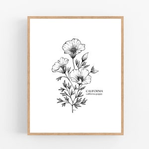 California Poppy Ink Sketch Print / Printable / Art / Digital Download / Illustration / State Flower / Poppy / Poppies / California / Line