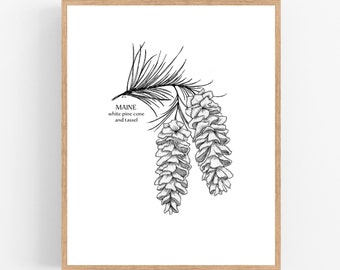 Maine White Pine Cone and Tassel Ink Illustration Print / Printable / Art / Digital Download / Botanical Print / Maine / State Flower / Pine