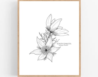 South Dakota Pasque Flower Ink Illustration / Pasque Flower Print Drawing / Botanical Print / Wall Art / South Dakota State Flower Drawing