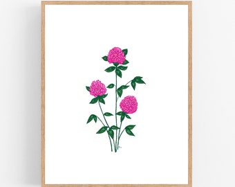 Red Clover Color Illustration Digital Download Art  Print / Vermont State Flower Printable