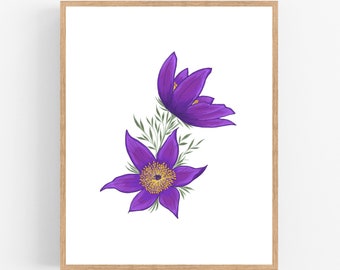 Pasque Flower Illustration Print / Printable / Art / Digital Download / Botanical Print / South Dakota Pasque Flower / South Dakota