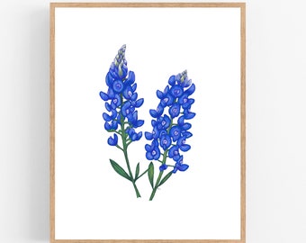 Bluebonnet Illustration / Printable / Art / Digital Download / Color Sketch / State Flower / Texas  / Wall Art / Flower / Bluebonnet