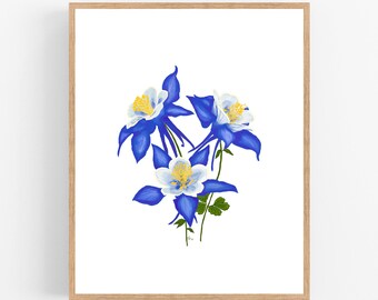 Columbine Flower Art Etsy