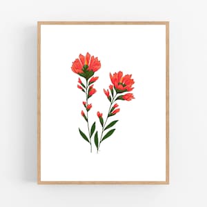 Oddity Tattoo Studio and Gallery  Beautiful Indian paintbrush flowers by