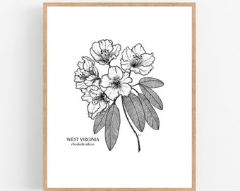 West Virginia Rhododendron Ink Sketch Print / Printable / Art / Digital Download / Illustration / State Flower Print/ Rhododendron