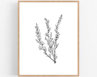 Sagebrush Ink Sketch Print / Printable / Art / Digital - Etsy