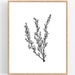 Sagebrush Ink Sketch Print / Printable / Art / Digital Download ...