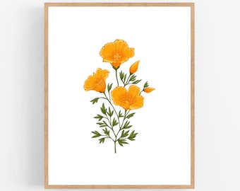 California Poppy Illustration / Printable / Art / Digital Download / Orange / Green / Botanical Print / Poppy / Poppies / California / Color