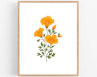 Kalifornien Mohn Illustration / Druckbar / Kunst / Digitaler Download / Orange / Grün / Botanischer Druck / Mohn / Mohnblumen / Kalifornien / Farbe