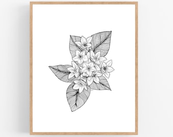 Mayflower Flower Black Ink Illustration Digital Download / Massachusetts State Flower Printable