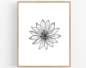 Bitterroot Black Ink Illustration Digital Download / Montana State Flower Drawing Printable