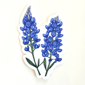 3&quot; Bluebonnet Vinyl Sticker / Waterproof Vinyl Bluebonnet Decal / Texas Bluebonnet / Bluebonnet Sticker / Bluebonnet Water Bottle Sticker