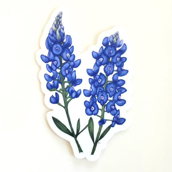 Texas Bluebonnet Stencil - Etsy