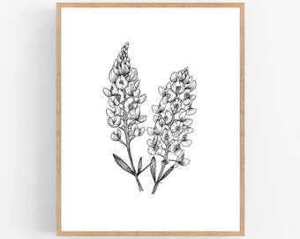 Bluebonnet Printable Etsy