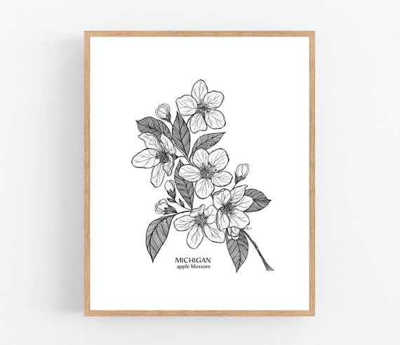 Michigan Apple Blossom Ink Sketch Print / Printable / Art / | Etsy