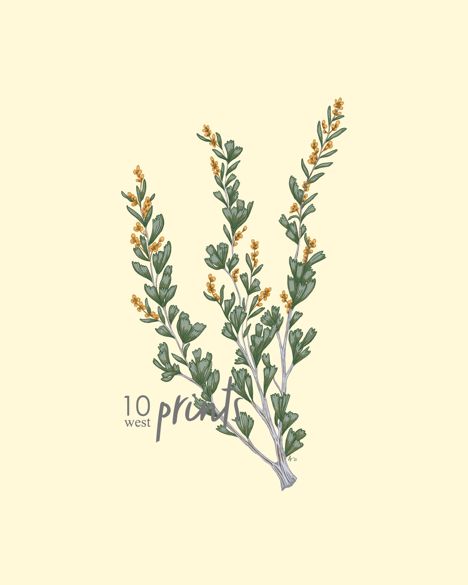 Sagebrush Branch Illustration / Printable / Art / Digital Etsy