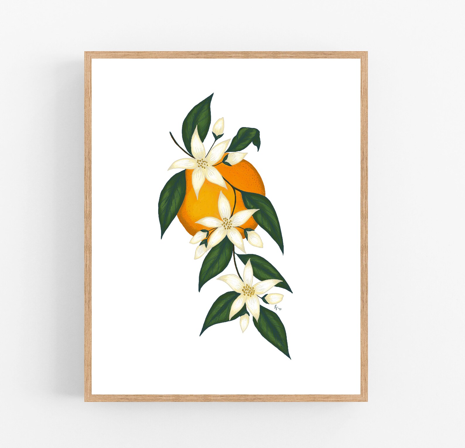Orange Blossom Illustration / Printable / Art / Digital - Etsy