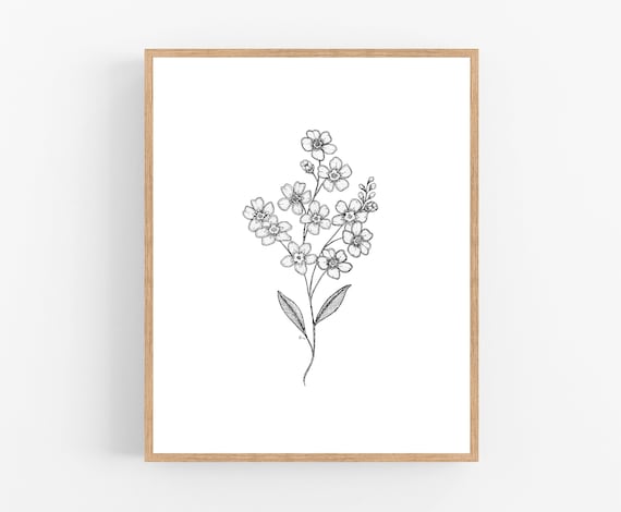 Forget Me Not Ink Sketch Print Forget Me Not Printable Art Etsy Uk