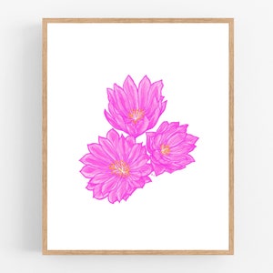 Bitterroot Color Illustration Print / Printable / Art / Digital Download / Pen Sketch / State Flower / Montana  / Flower / Bitterroot