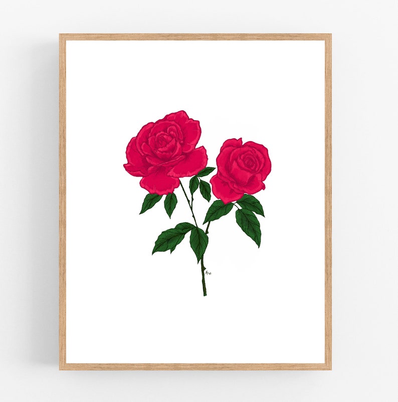 Red Rose Color Illustration / Printable / Art / Digital Download ...