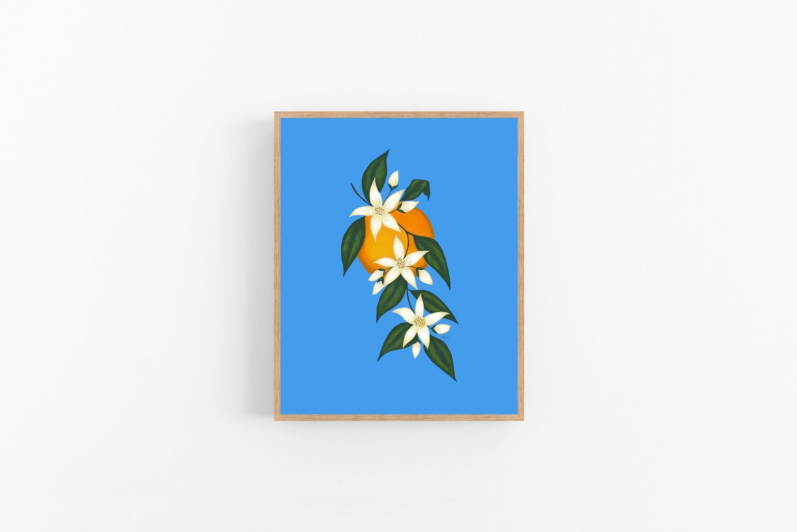 Orange Blossom Illustration / Printable / Art / Digital - Etsy