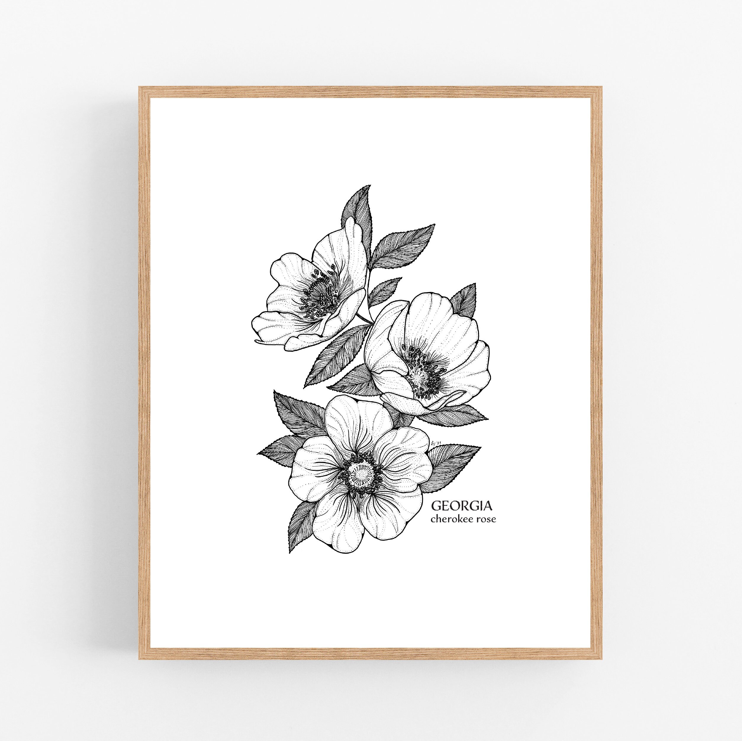 Georgia Cherokee Rose Ink Sketch Print / Printable / Art / Digital