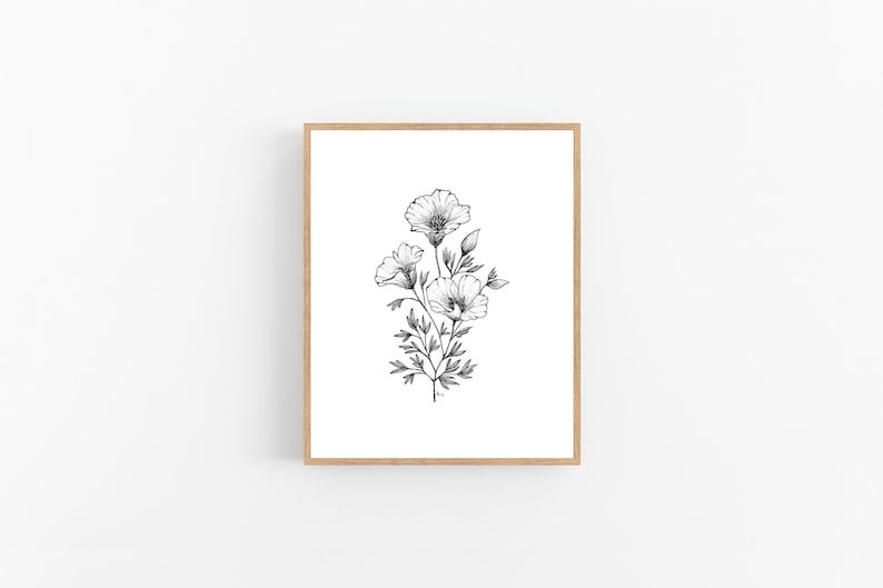 California Poppy Ink Sketch Print / Printable / Art / Digital Download / Pen Sketch / Botanical Print / Poppy / Poppies / California / Line image 4