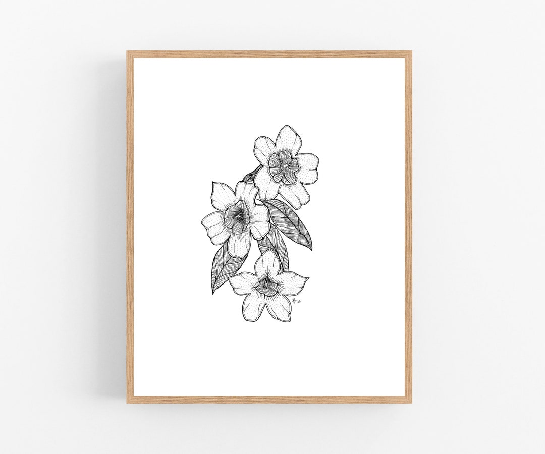 Yellow Jessamine Ink Sketch Print / Printable / Art / Digital Download