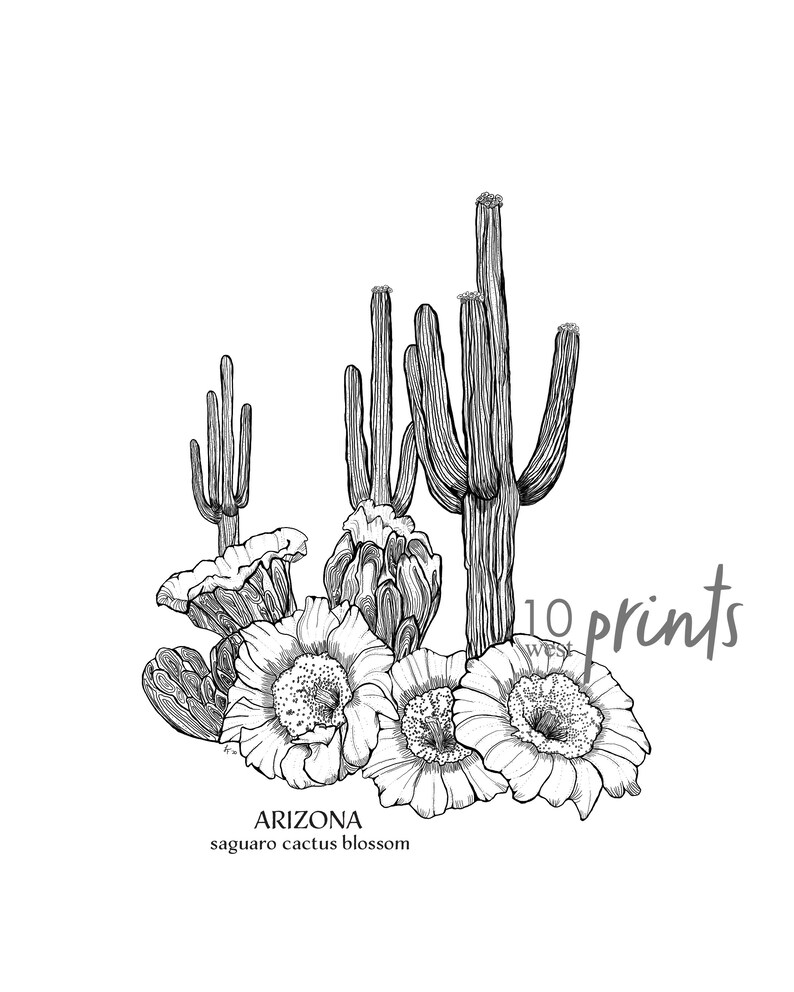 Arizona Saguaro Cactus Blossom Ink Sketch Print / Printable - Etsy