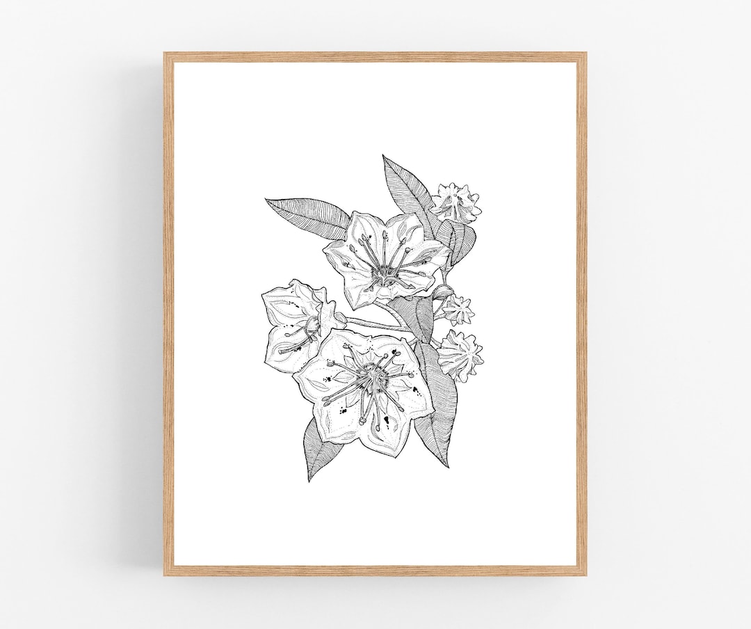 Mountain Laurel Ink Sketch Print / Printable / Art / Digital Download / Pen Sketch / State ...