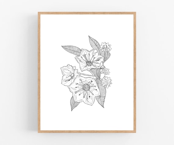 Mountain Laurel Ink Sketch Print / Printable / Art / Digital | Etsy