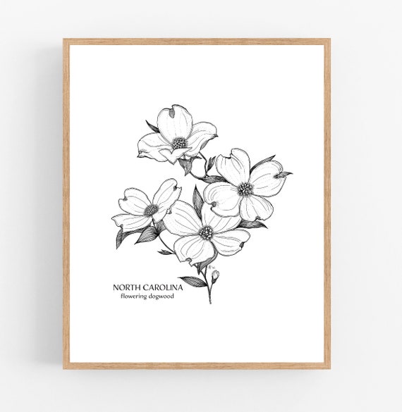 North Carolina Dogwood Ink Sketch Print / Printable / Art