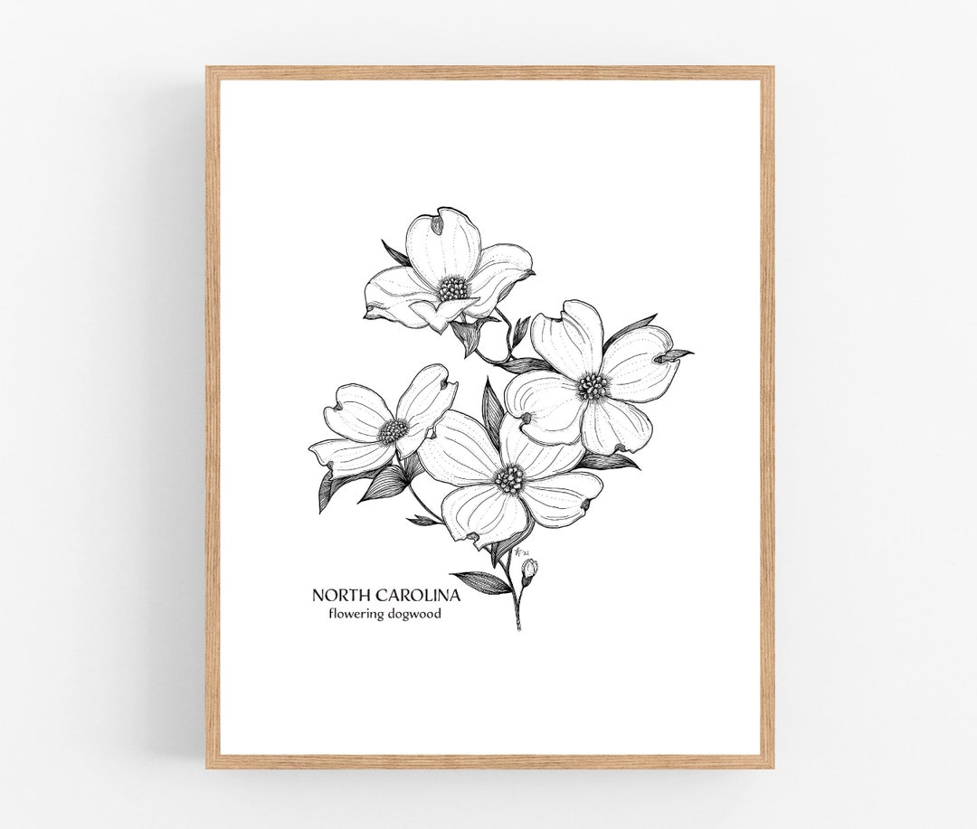 North Carolina Dogwood Ink Sketch Print / Printable / Art / Digital ...