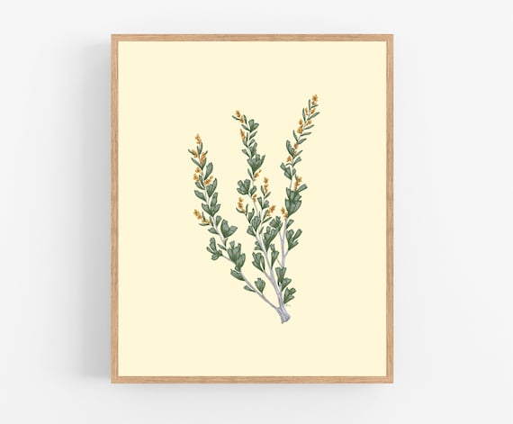Sagebrush Branch Illustration / Printable / Art / Digital | Etsy