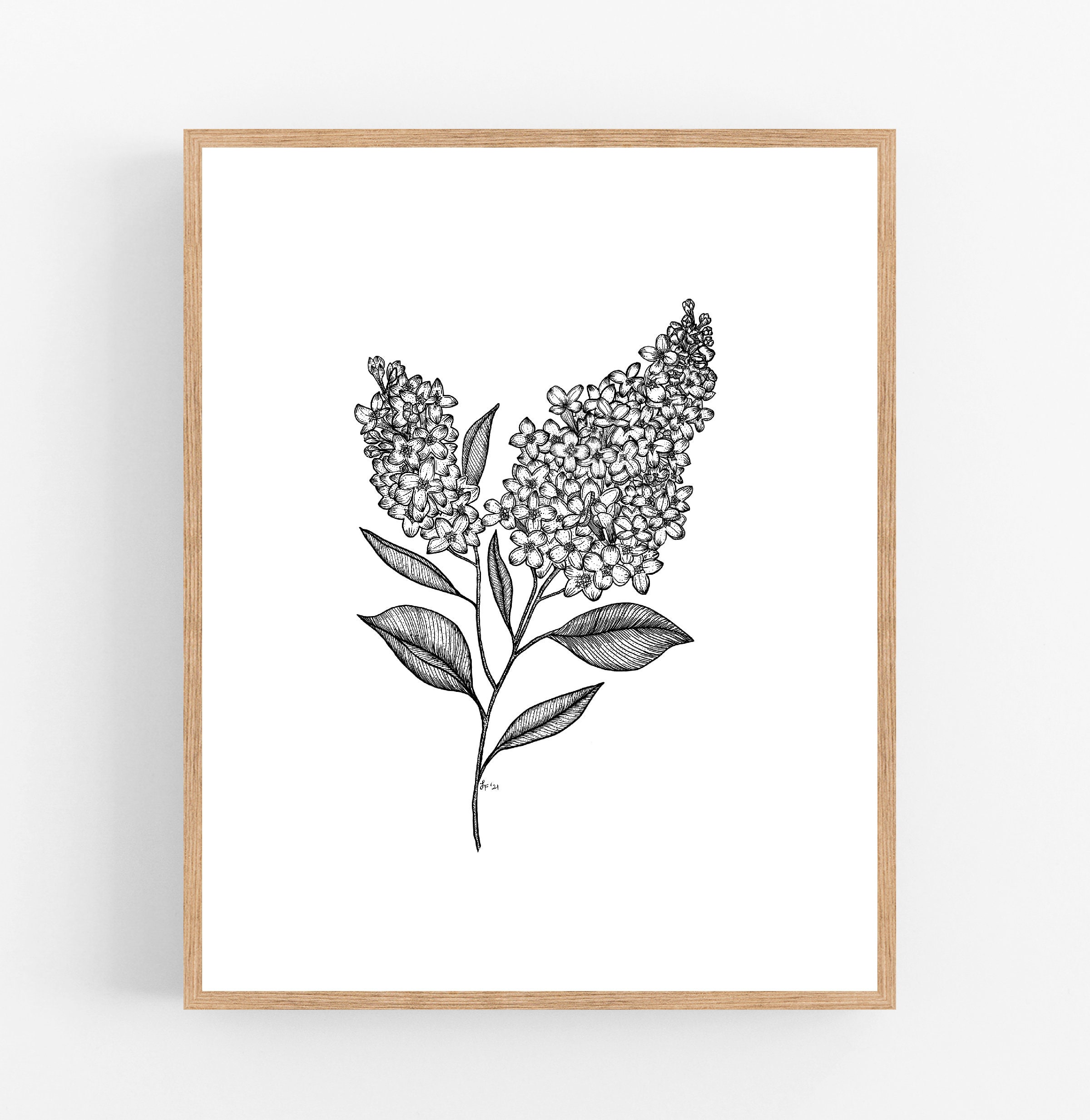 Lilac Black Ink Digital Download / New Hampshire State Flower Printable ...
