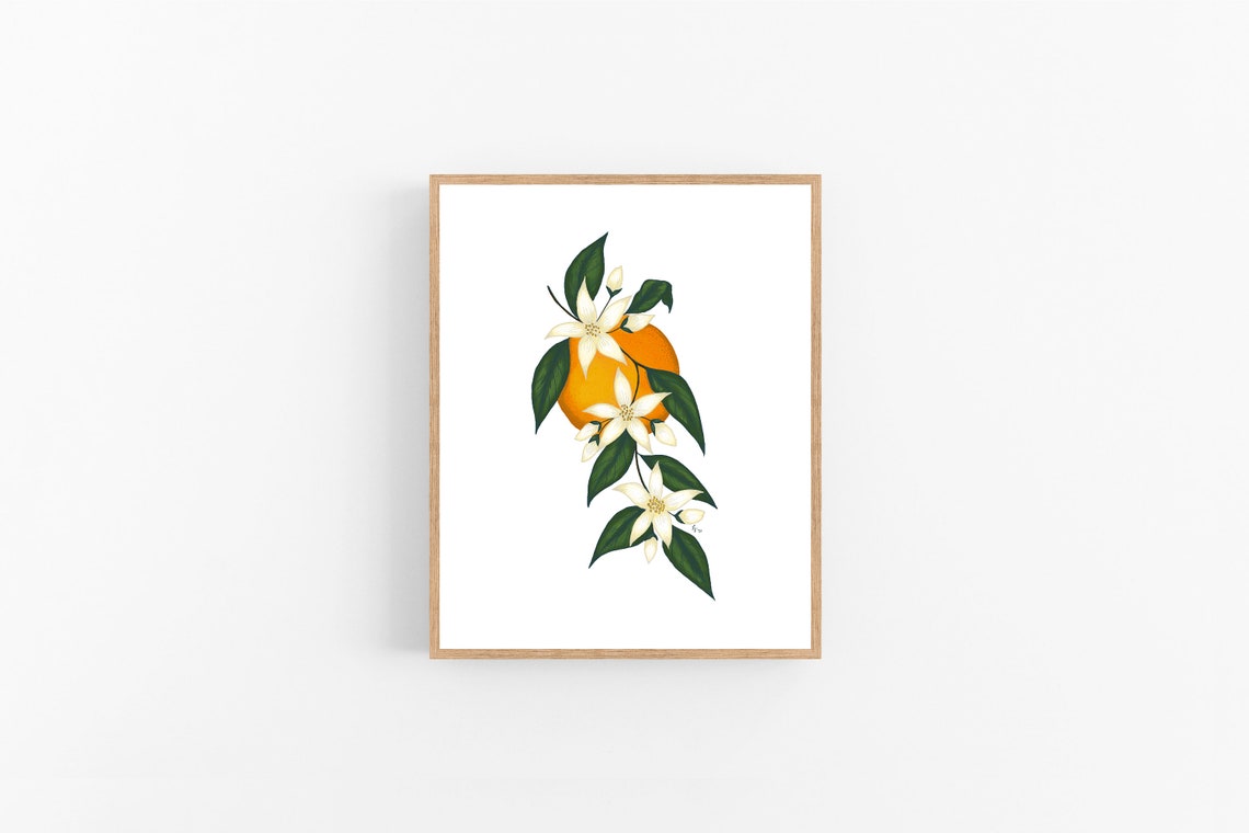 Orange Blossom Illustration / Printable / Art / Digital - Etsy