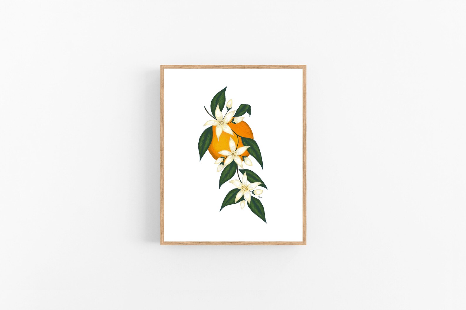 Orange Blossom Illustration / Printable / Art / Digital - Etsy