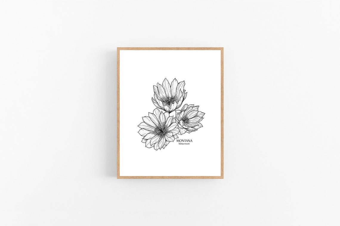 Montana Bitterroot Ink Sketch Print / Printable / Art / Digital ...