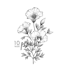 California Poppy Ink Sketch Print / Printable / Art / Digital Download / Pen Sketch / Botanical Print / Poppy / Poppies / California / Line image 2