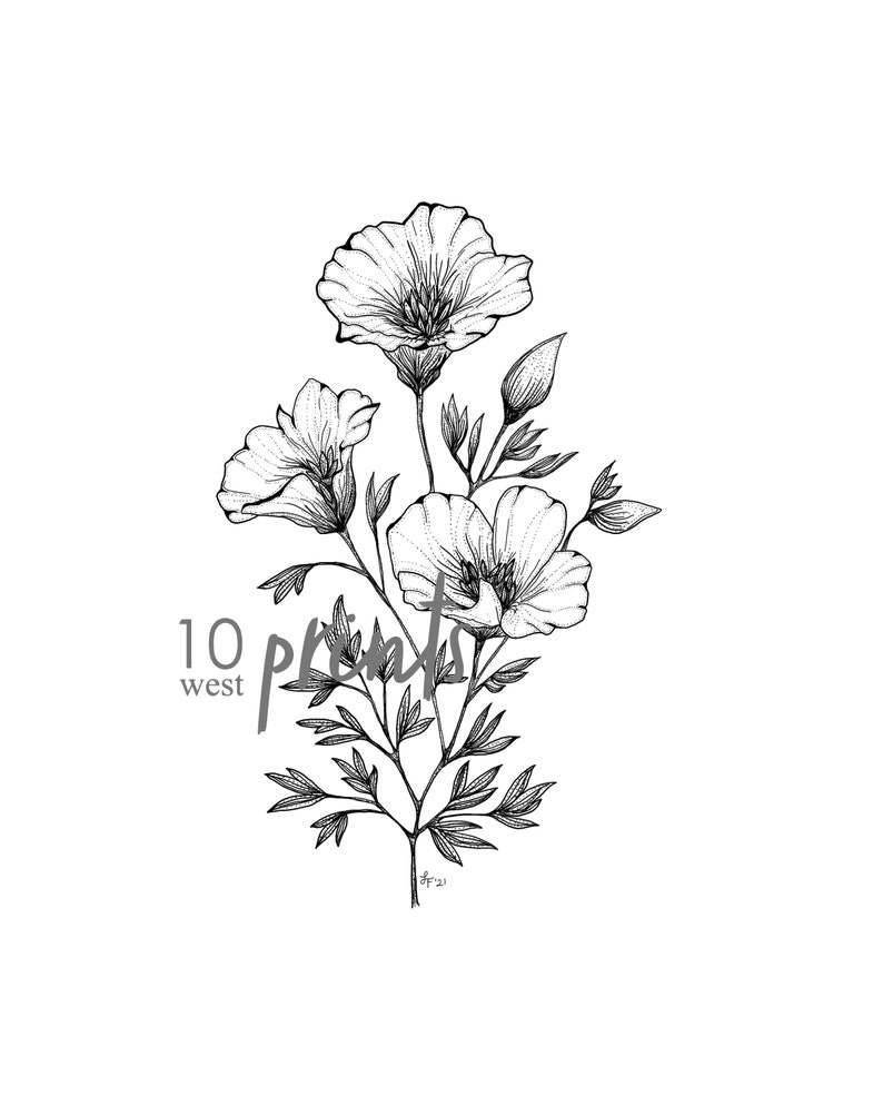 California Poppy Ink Sketch Print / Printable / Art / Digital Download / Pen Sketch / Botanical Print / Poppy / Poppies / California / Line image 2